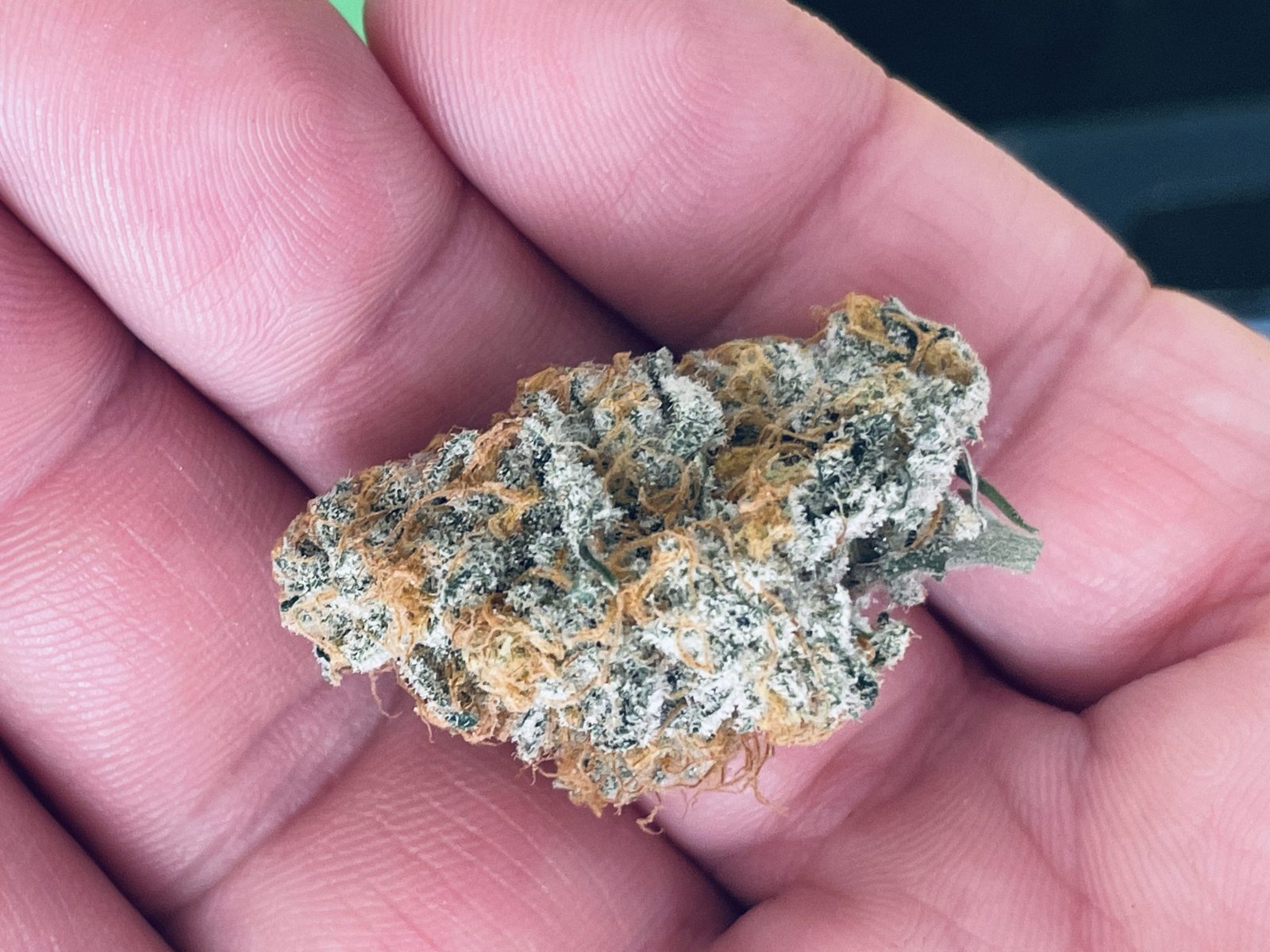 thca small buds